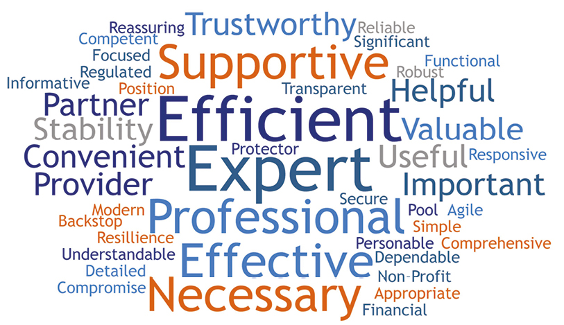 Image: Customer survey word cloud